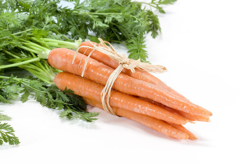 Imperator 58 Carrot Seeds 2000+ Vegetable Garden Heirloom NON-GMO FREE SHIPPING