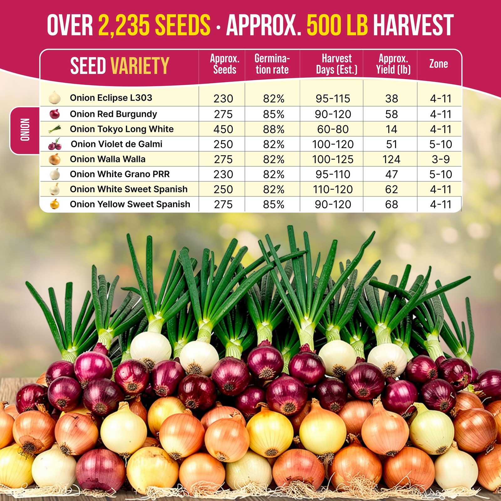 Organo Republic 8 Onion Seeds Variety Pack Heirloom, NonGMO, Sets for Indoors…