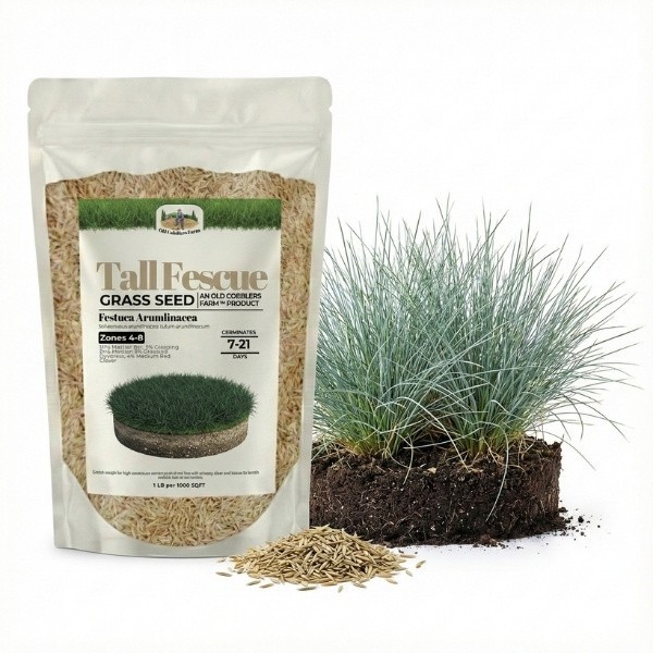 Old Cobblers Farm™ Wicked Tuff Turf Water Warden Tall Fescue Tri-Blend Lawn Seed