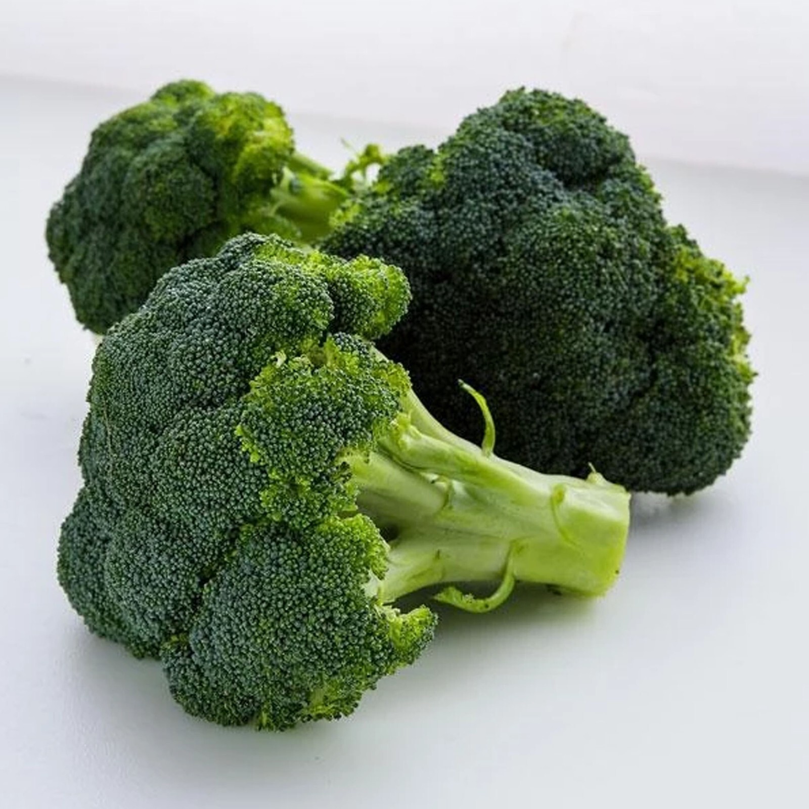 500 WALTHAM 29 BROCCOLI SEEDS ~ heirloomseedguy ~ 2026 ~ NON-GMO