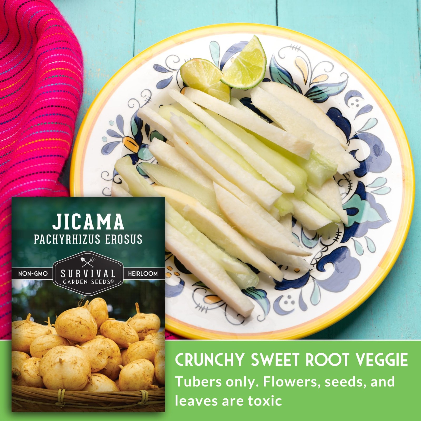 Jicama Seeds for Planting – True Jicama (Pachyrhizus erosus) Mexican Turnip o…