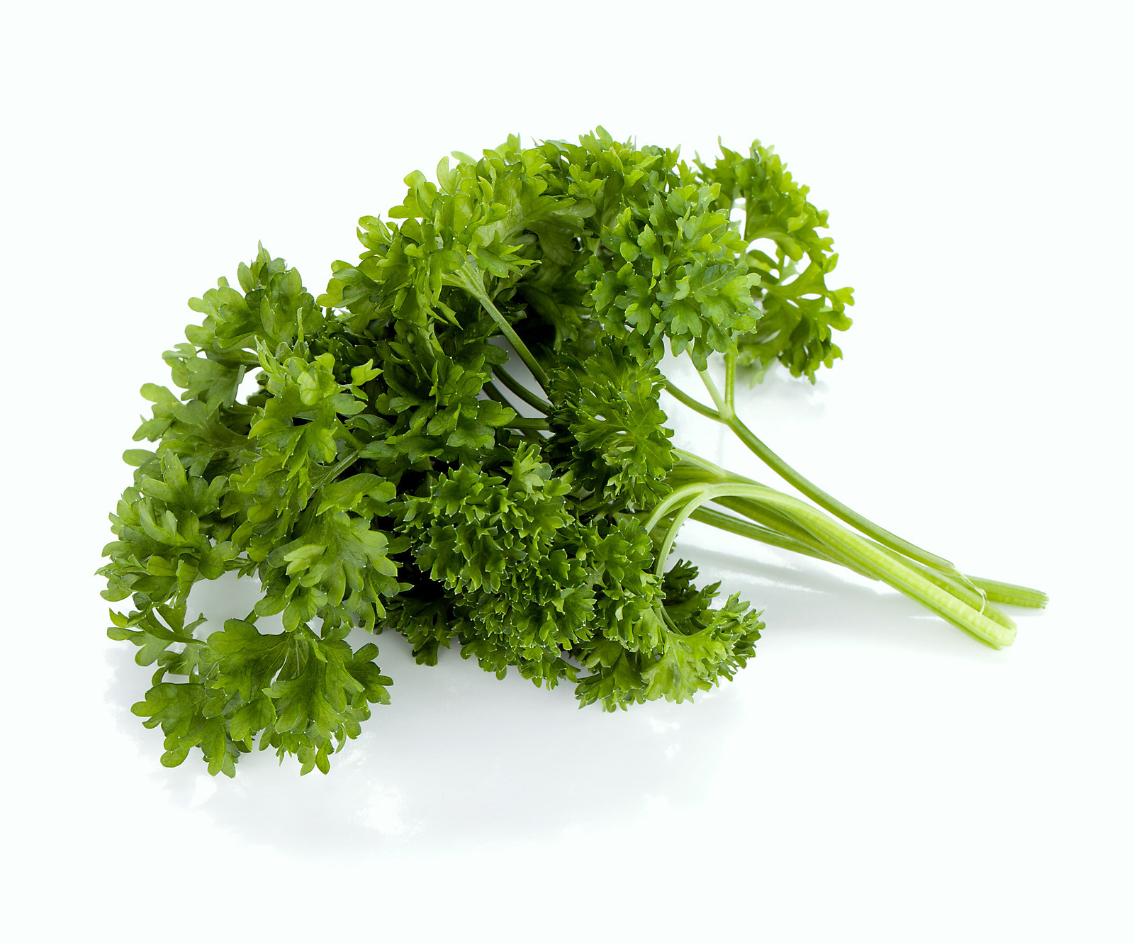 Parsley Seeds, Moss Curled, Heirloom Herbs, Non-Gmo Spice, Indoors or Out, 100ct