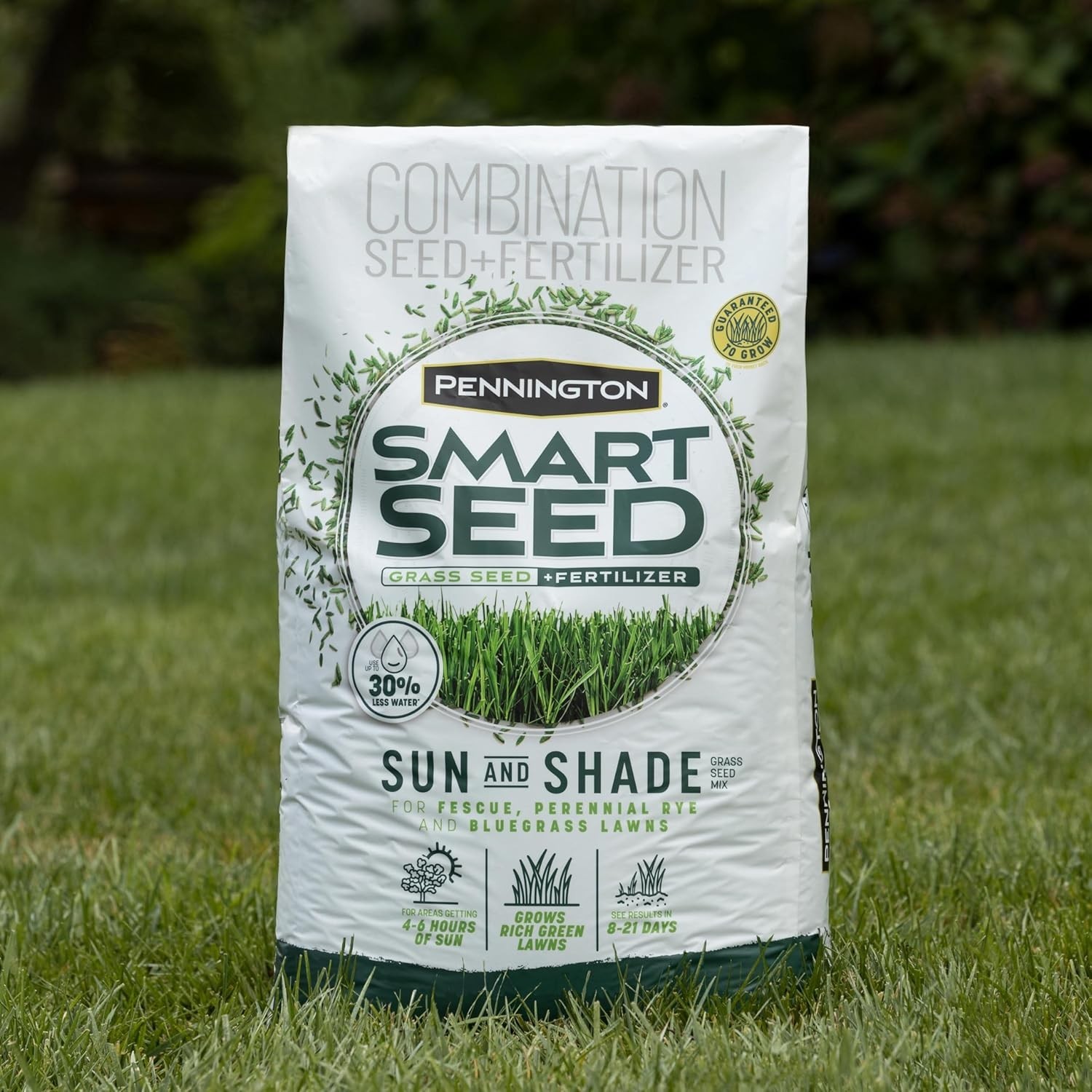 3 lb Smart Seed for Sun & Shade – Fast Germination & Drought Tolerance