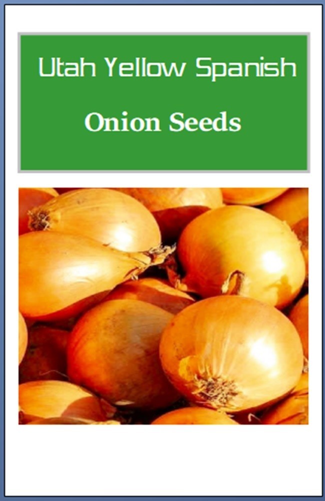 Utah Yellow Sweet Spanish Onion Seeds | NON-GMO | Heirloom | Fresh Garden Seeds