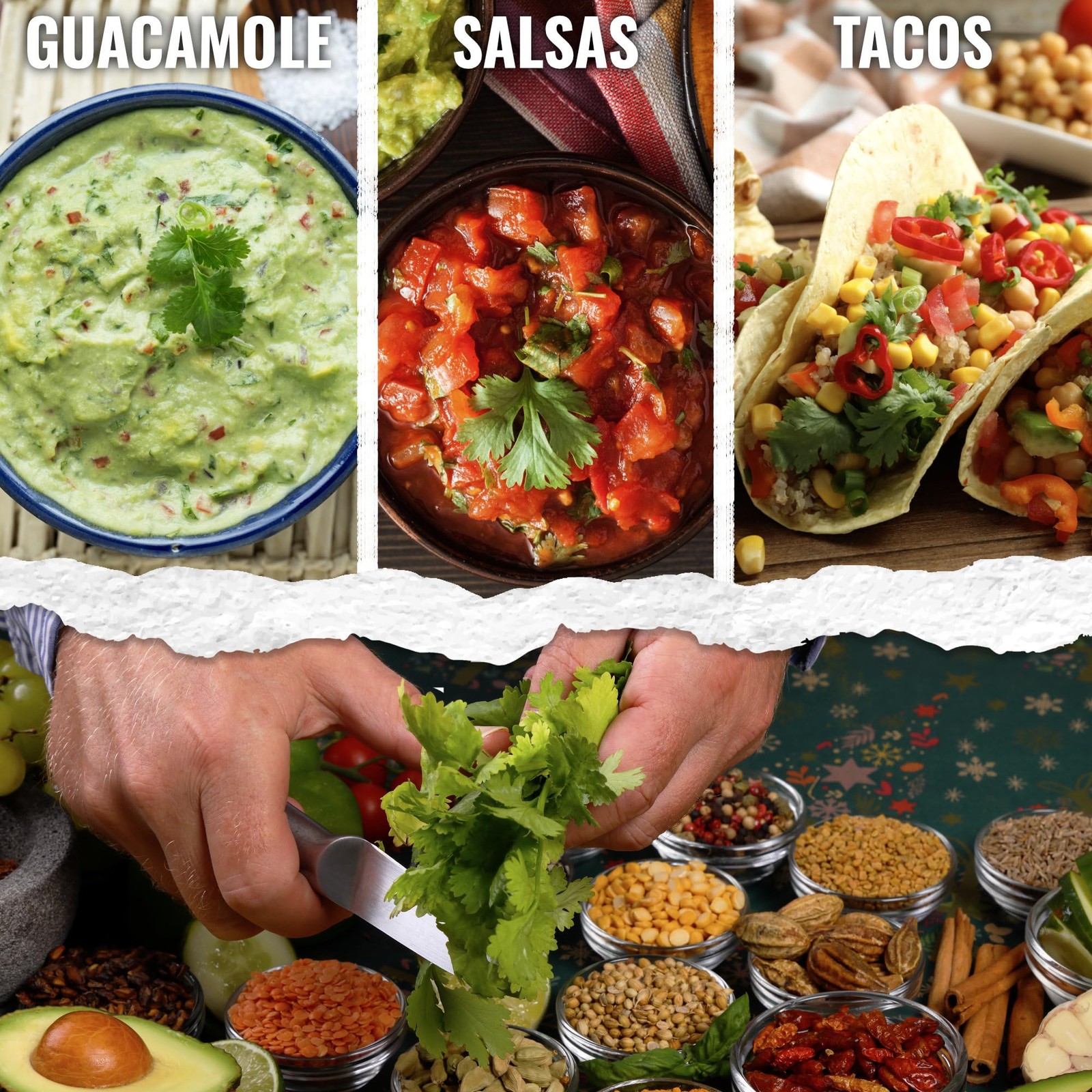 Cilantro Seeds for Planting NonGMO Heirloom Coriander, 1.5 oz Bulk Pack
