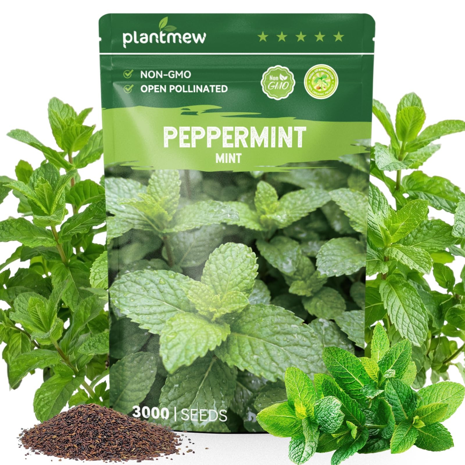 3000 Peppermint Seeds Planting Indoor Outdoor Heirloom Non GMO Herb Home