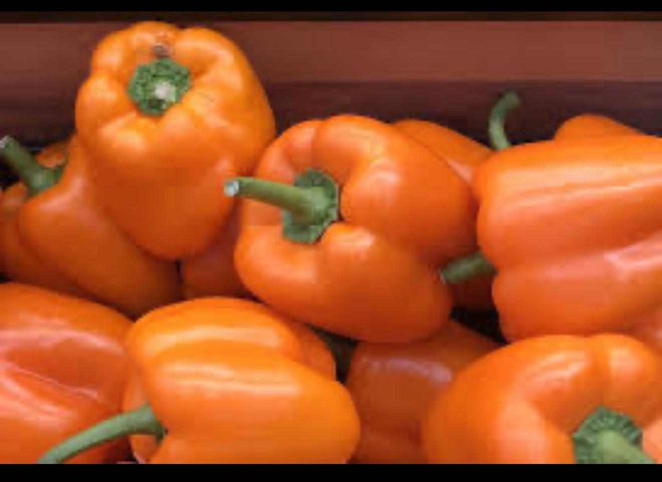 Orange Sun Bell Pepper Seeds | Heirloom Green Cal Wonder King Peppers Seed 2026