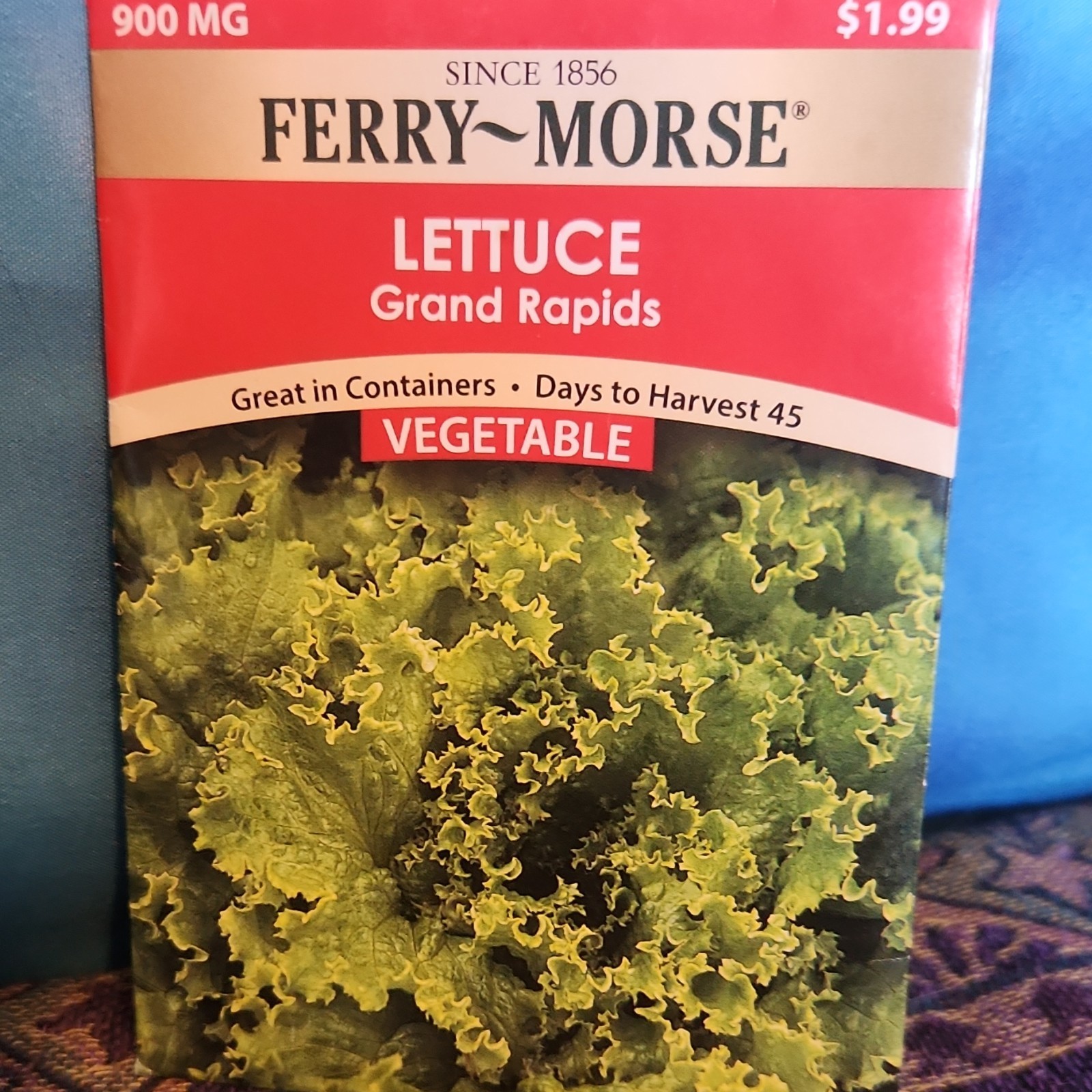 Ferry-Morse Lettuce ‘Grand Rapids’ Vegetable Seeds 45 Days Upright Green