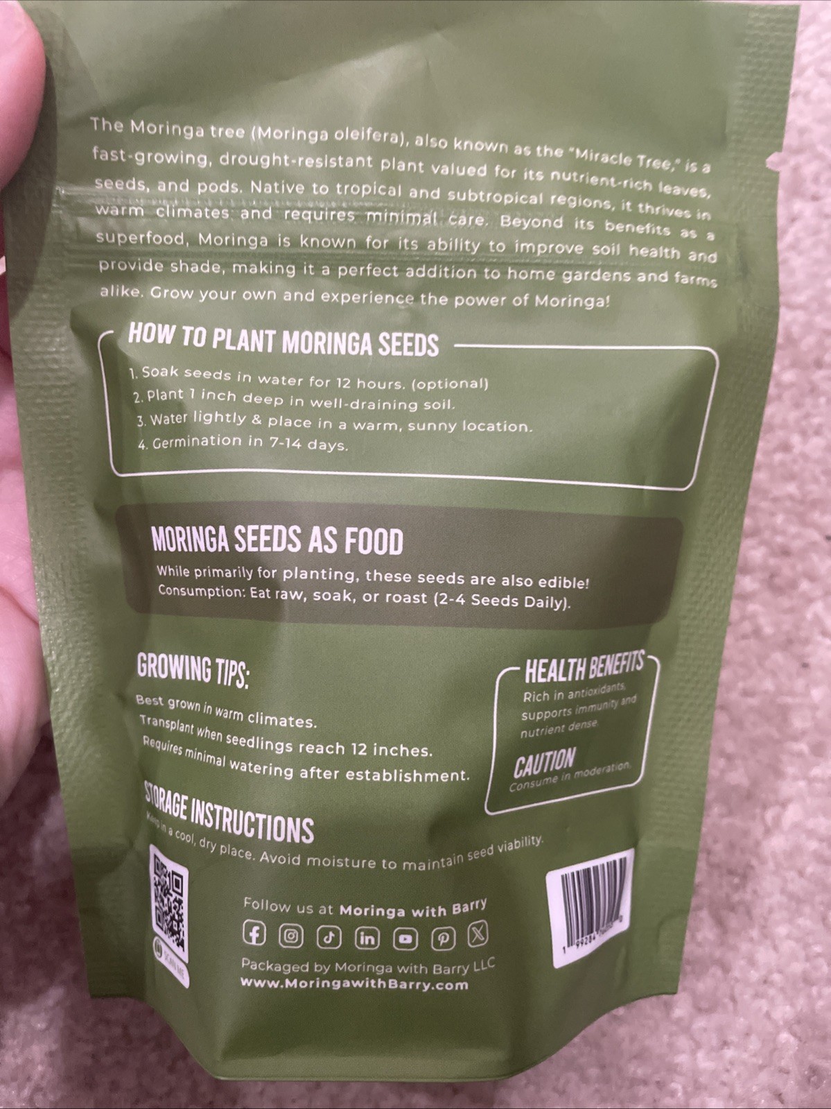 Moringa Seeds 100 Count Moringa Tree Seeds High Germination Rates
