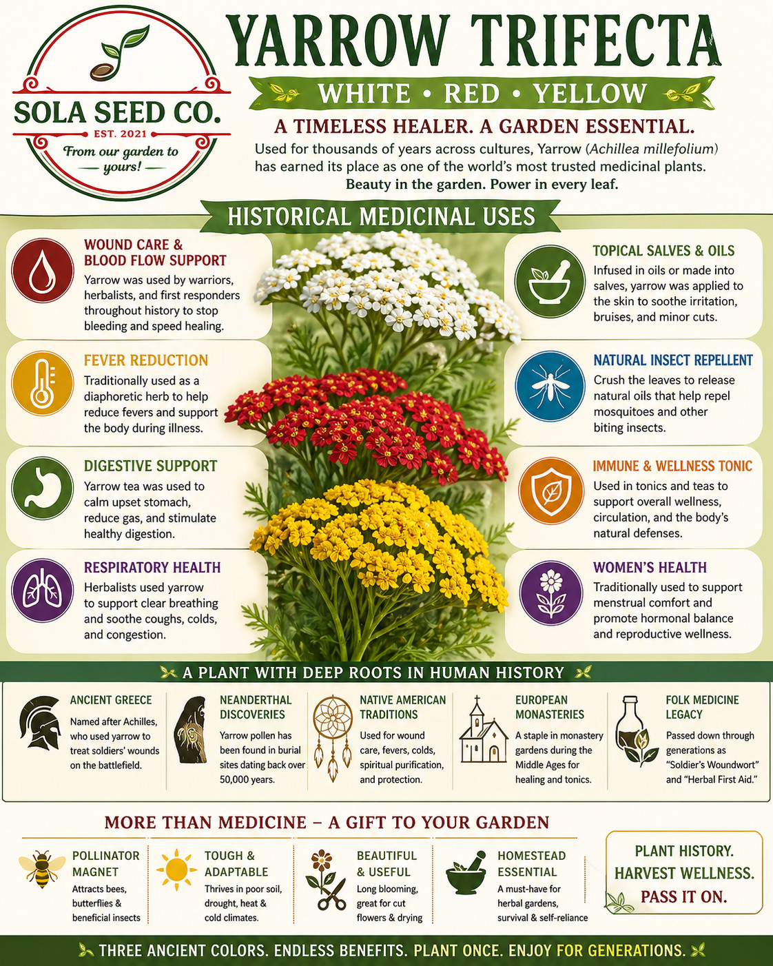 3000 Yarrow Seeds-White-Red-Yellow Trifecta-Pollinator-Medicinal-Xeriscaping USA