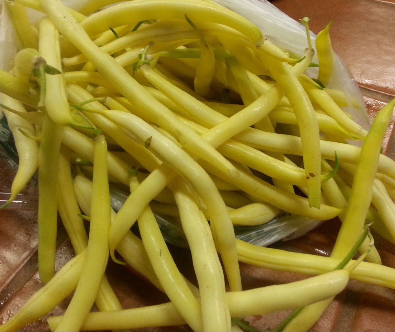 Cherokee Wax Bush Bean Seeds- Heirloom Variety- 30+ ’21 Seeds $1.69 Max Shipping