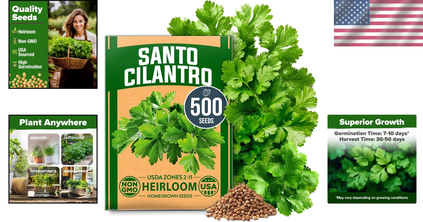 High Yield Cilantro Seeds 500 Heirloom Garden Seeds Perfect for Any Skill Level