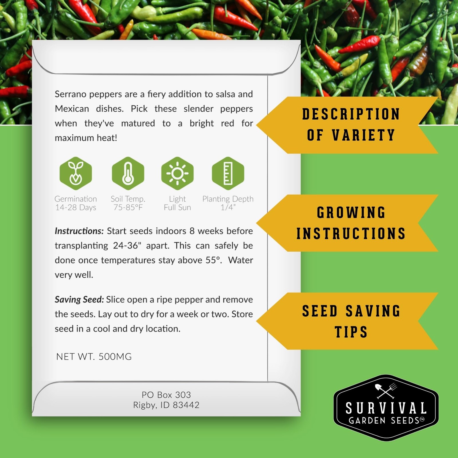 Pepper Seeds for Planting – 12 Variety Pack | Jalapeño, Serrano, Cayenne, Bel…