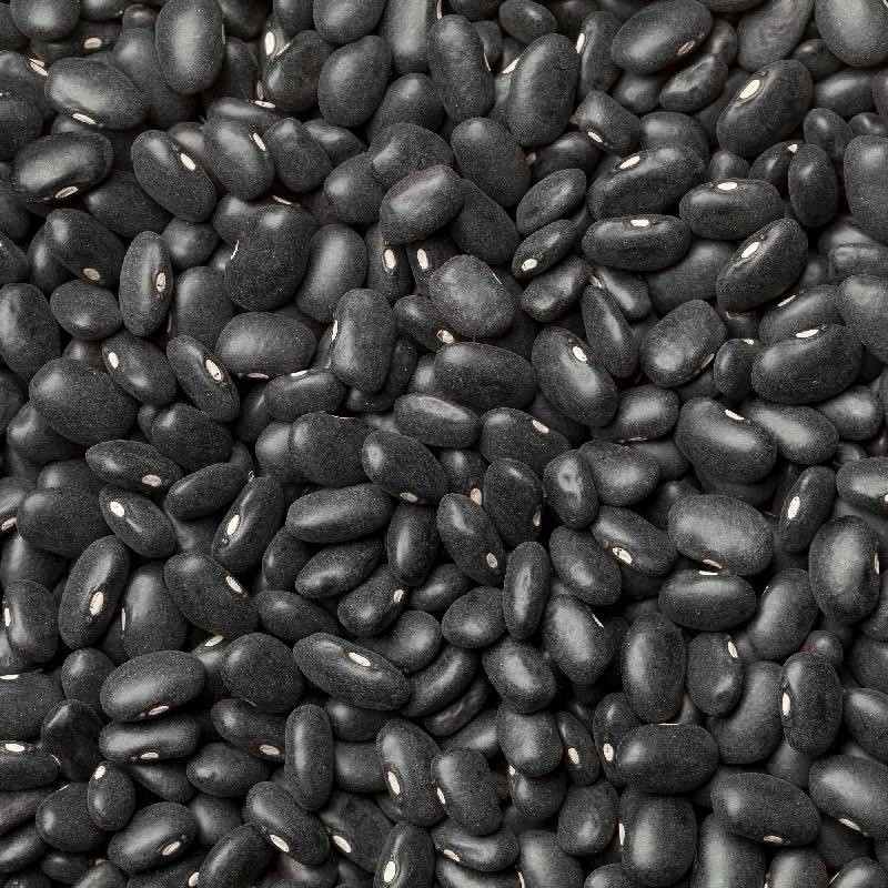 Black Bean Seeds | For Planting Mexican Frijoles Beans Black Turtle Seed 2026