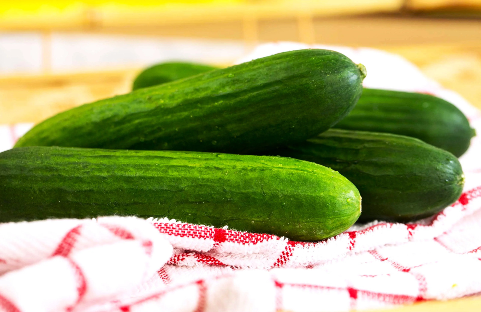 Persian Cucumber (Open-Pollinated) Seeds – For 2026 Planting US Grown Beit Alpha