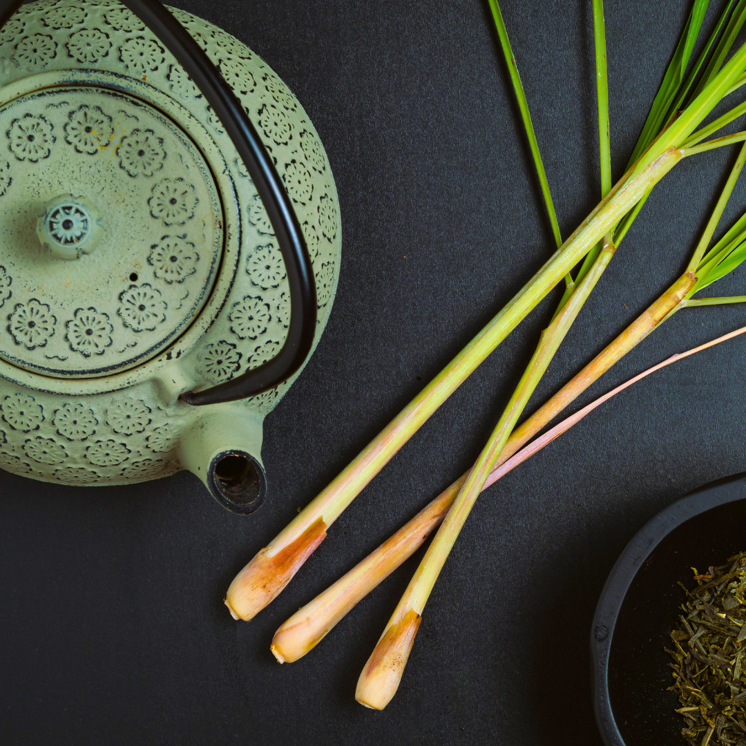 Fresh Lemongrass Herb Seeds | Xiang Mao | Heirloom Non-GMO | Asian Herb Seeds