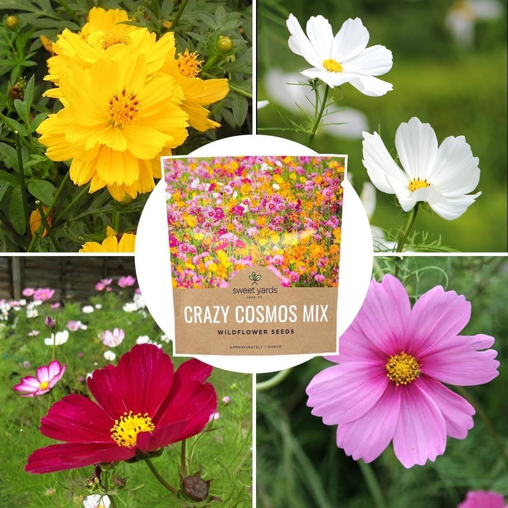 Cosmos Seeds – 5,000 Count Wildflower Mix in Lush Colors for Gardens