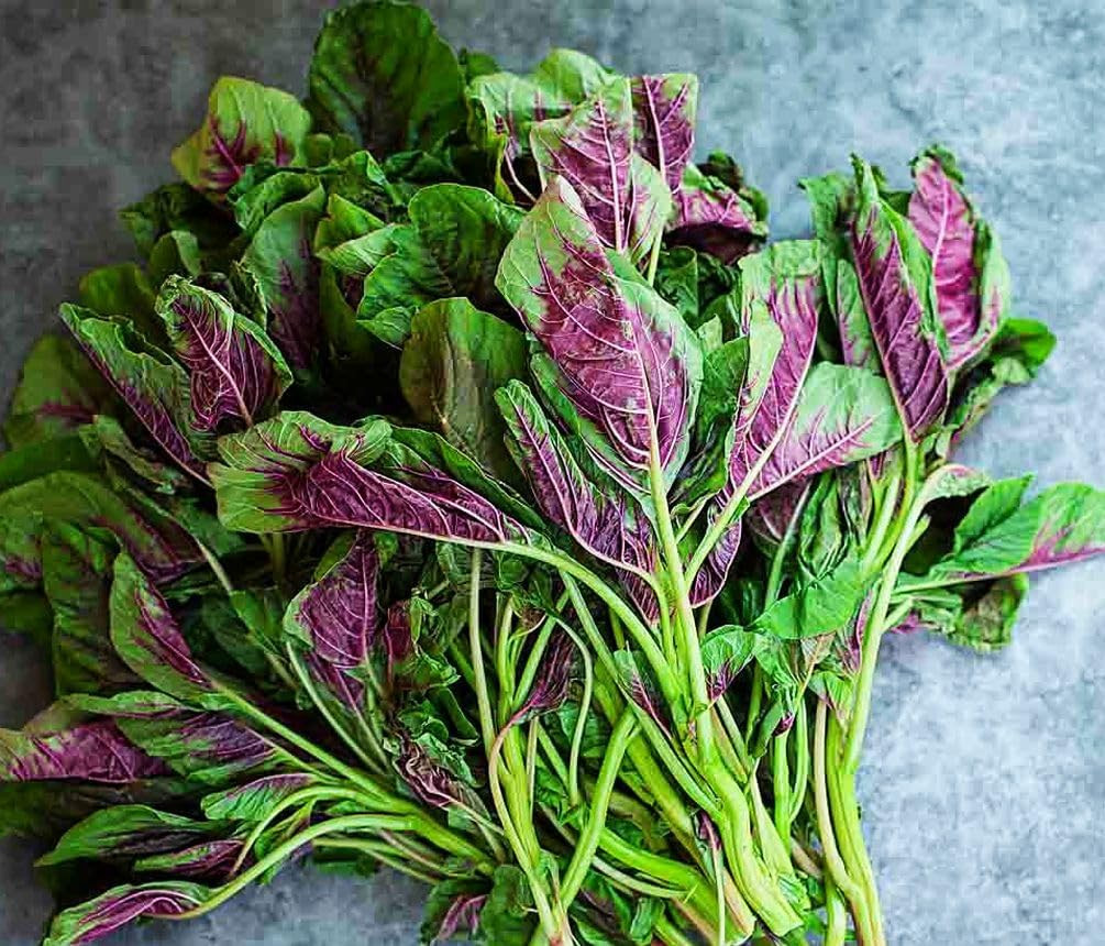 500 Pcs Red Stripe Leaf Amaranth Seeds – Edible Spinach-Like Salad Green Spinach
