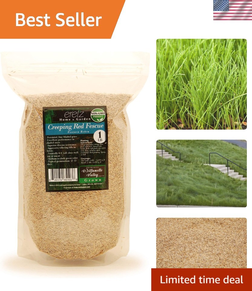 1lb Creeping Red Fescue Grass Seed – Superior Disease Resistance & Fast Growth