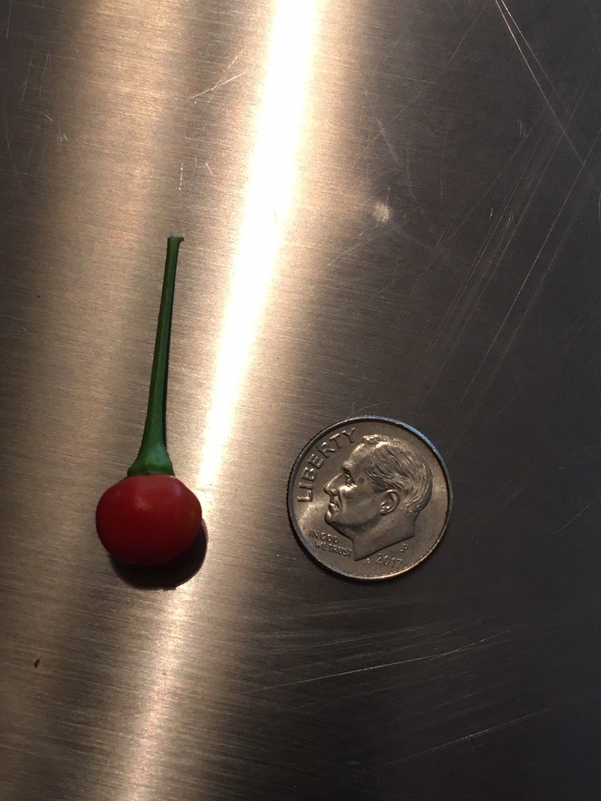 15 WIRI WIRI PEPPER SEEDS ULTRA RARE HOT 2023 – HARD TO FIND – NICE PLANTS !!