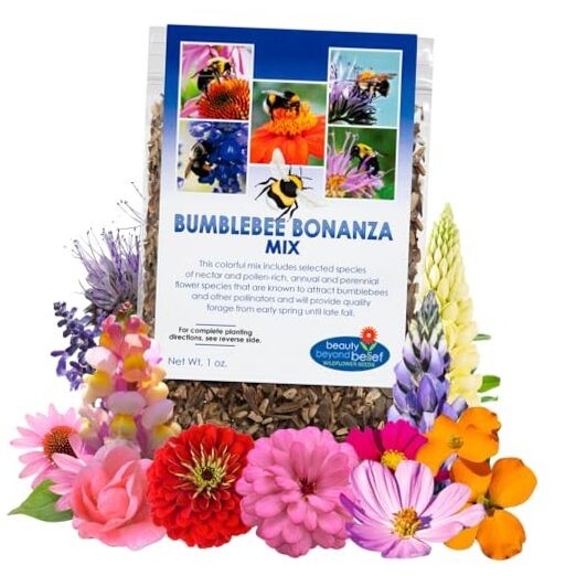 Bumblebee Bonanza Wildflower Seeds – 1oz, Open-Pollinated Wildflower Seed