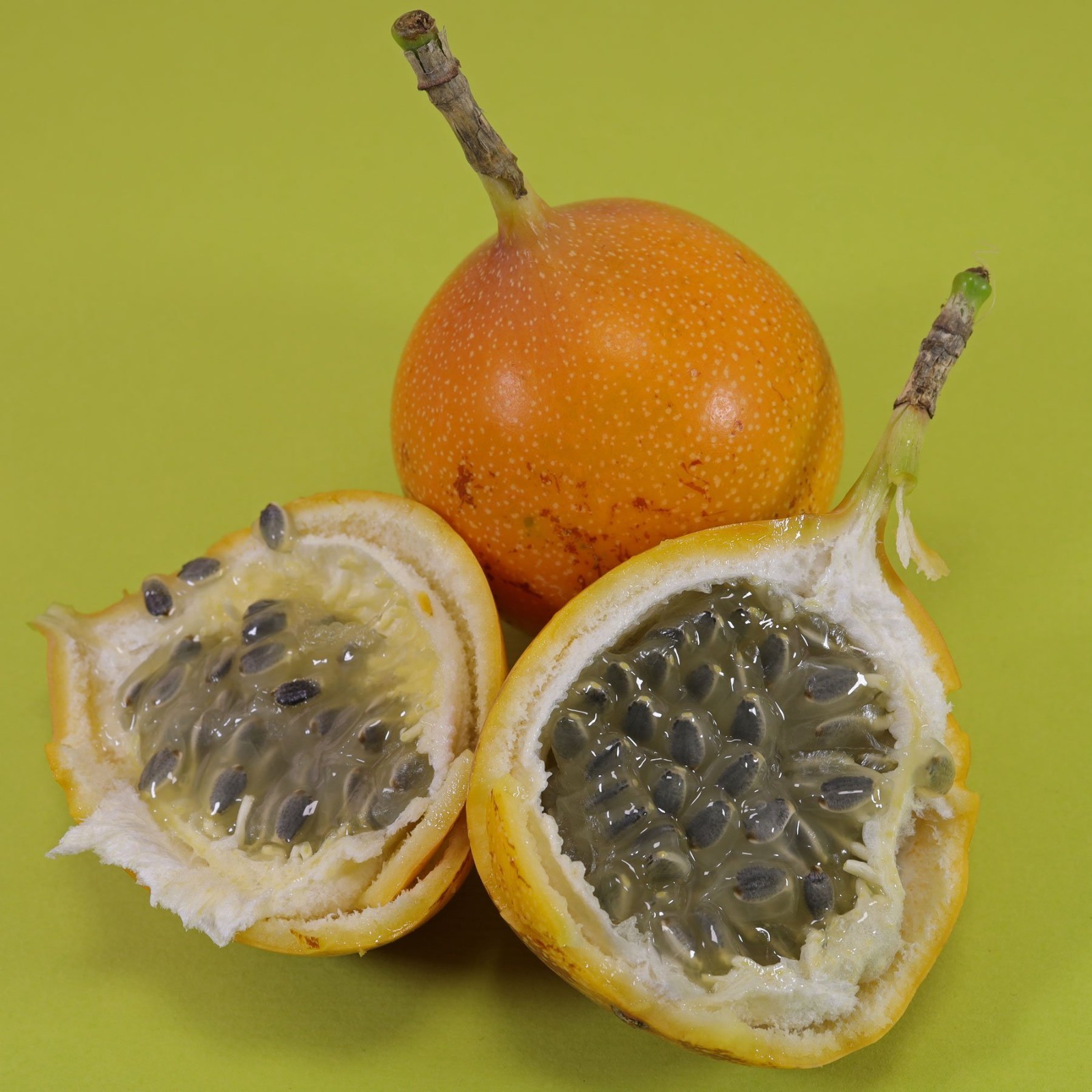 Passiflora Ligularis 20 Freshly Harvested Seeds, Sweet Granadilla or Grenadia