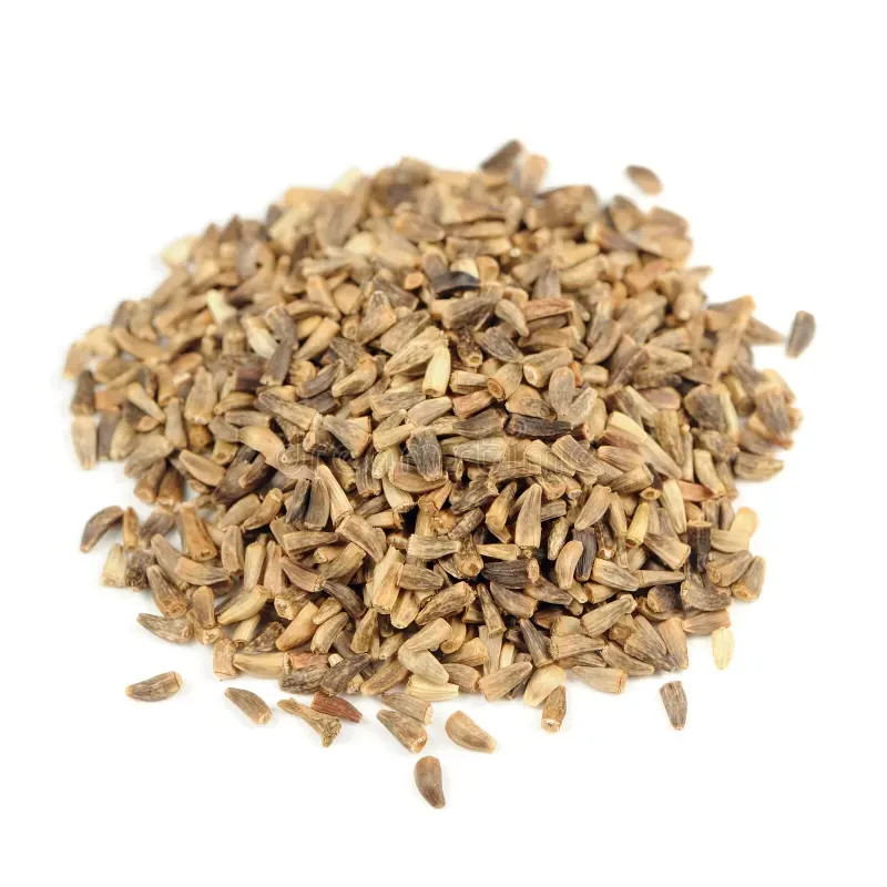 500 Chicory Seeds | Non-GMO |Caffeine Free | Free Shipping and Tracking