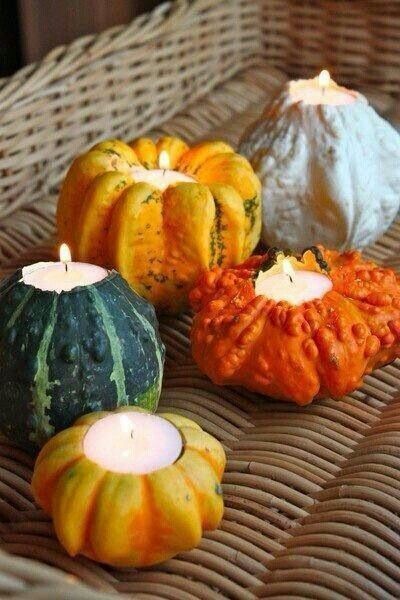Small Ornamental Gourd Mix Seeds | Fall Garden Autumn Wing Pumpkin Squash 2023