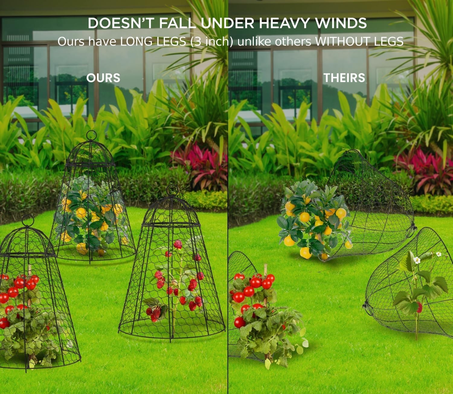 Tall Plant Protection Cloches 12″x20″ 6-Pack