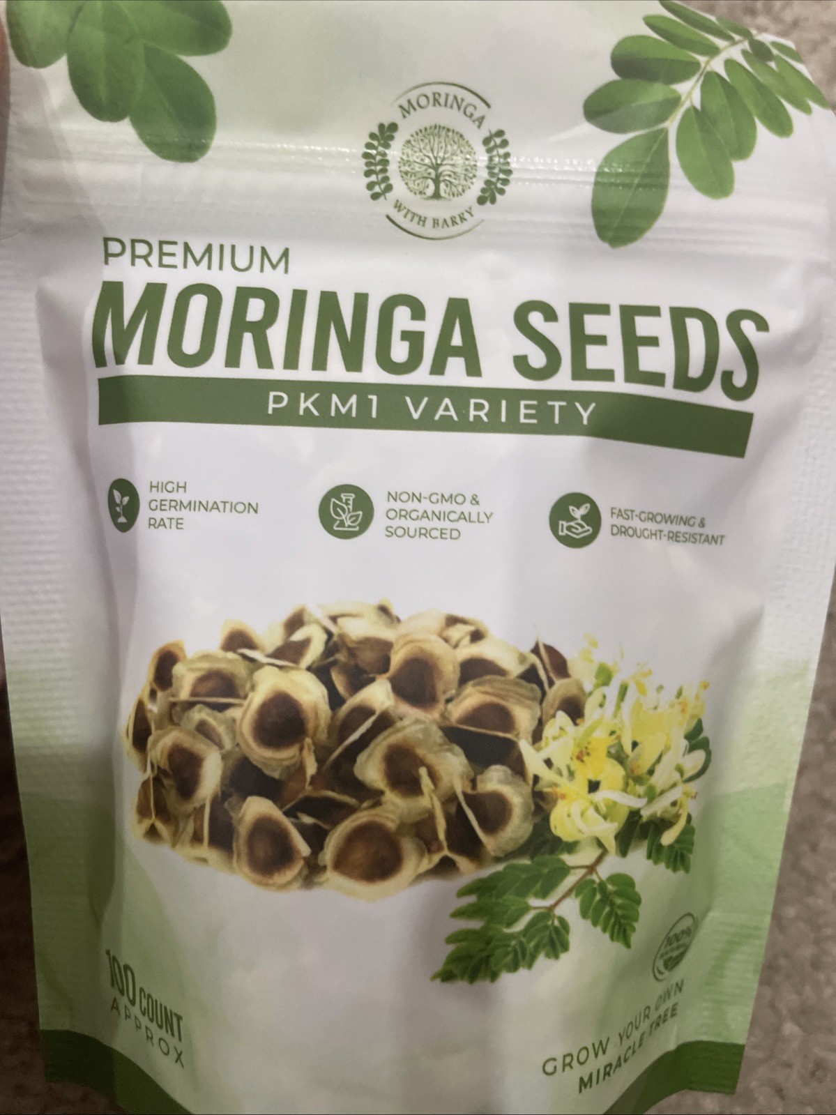 Moringa Seeds 100 Count Moringa Tree Seeds High Germination Rates