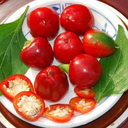 Pepper SWEET RED CHERRY Heirloom Containers Pickling Salads Non-GMO 50 Seeds!