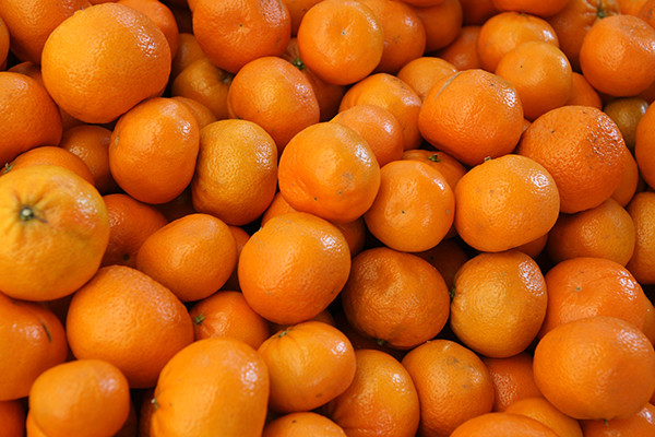 Citrus reticulata Murcott HONEY TANGERINE Tree SEEDS!