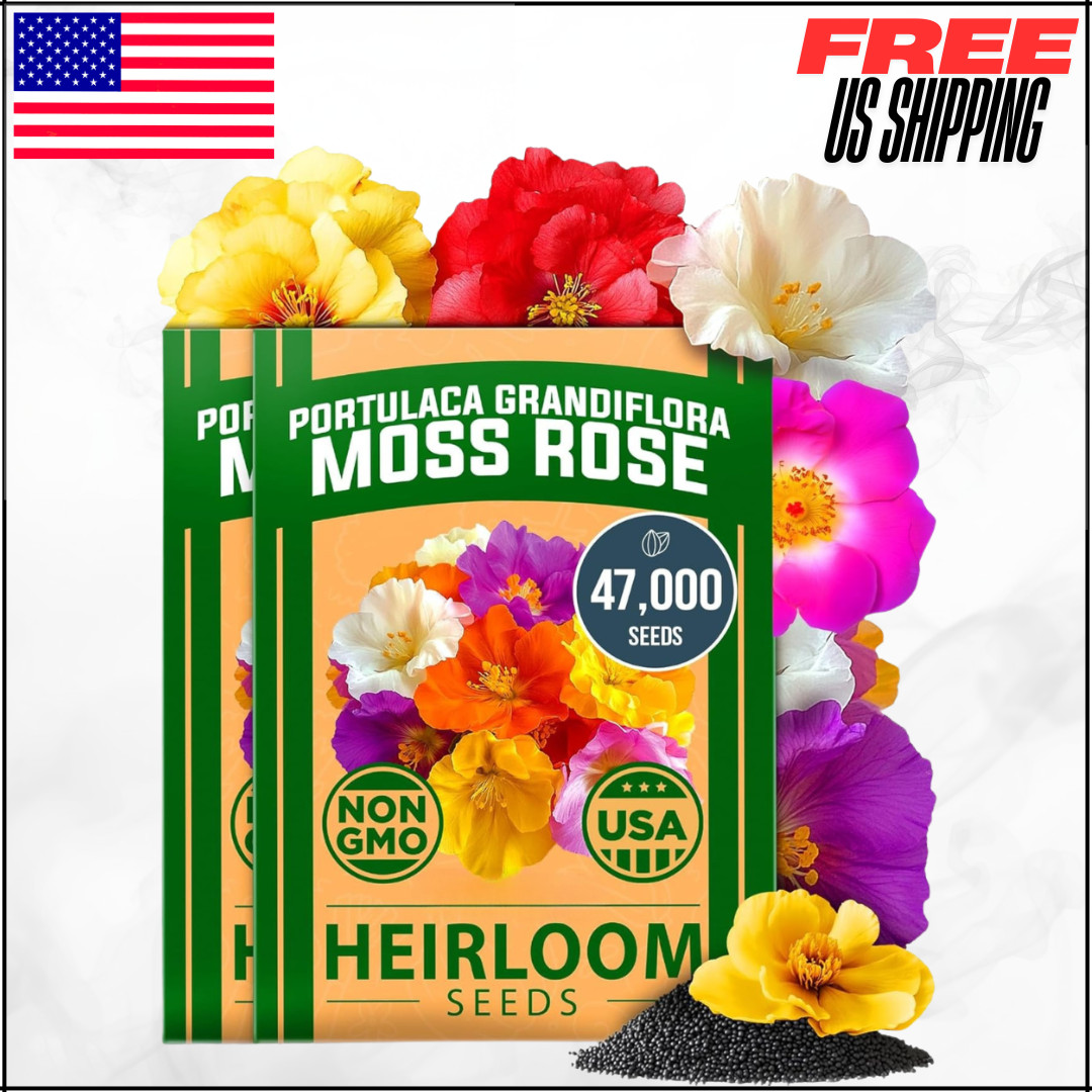 Moss Rose Seeds Bulk Pack Ground Cover Heirloom Non-GMO Portulaca 47000+