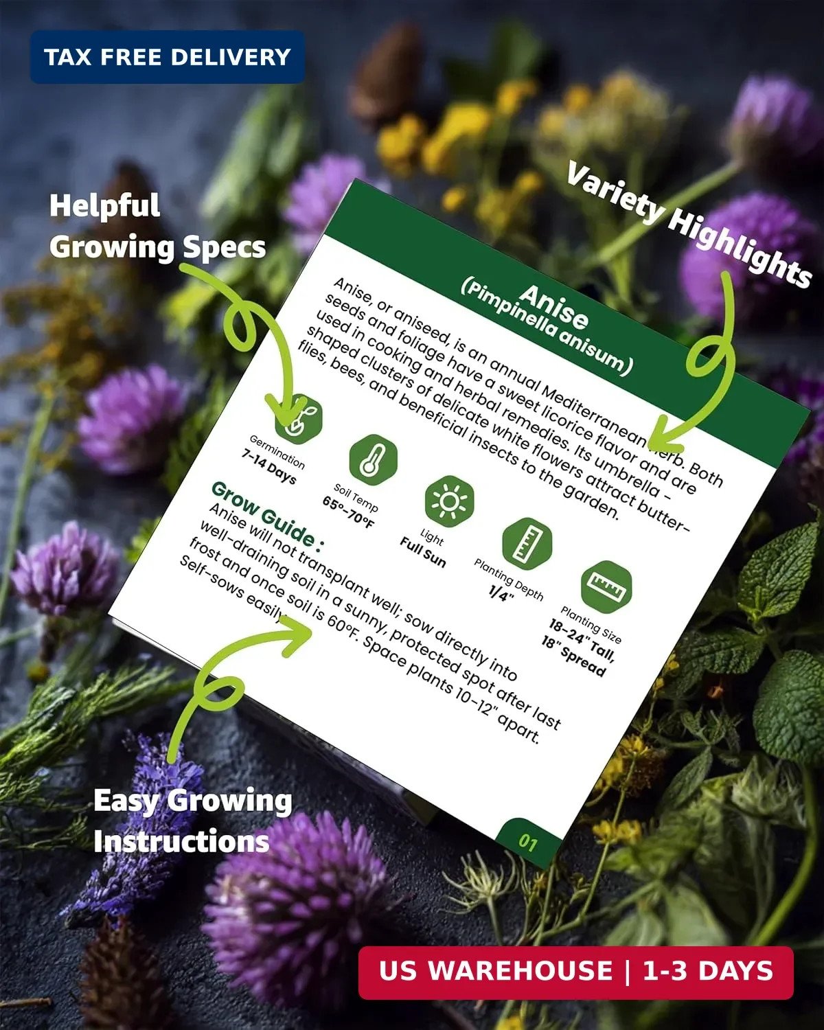 Medicinal & Tea Herb Seeds for Planting – 35 Non-GMO Variety Pack for Indoor/Out