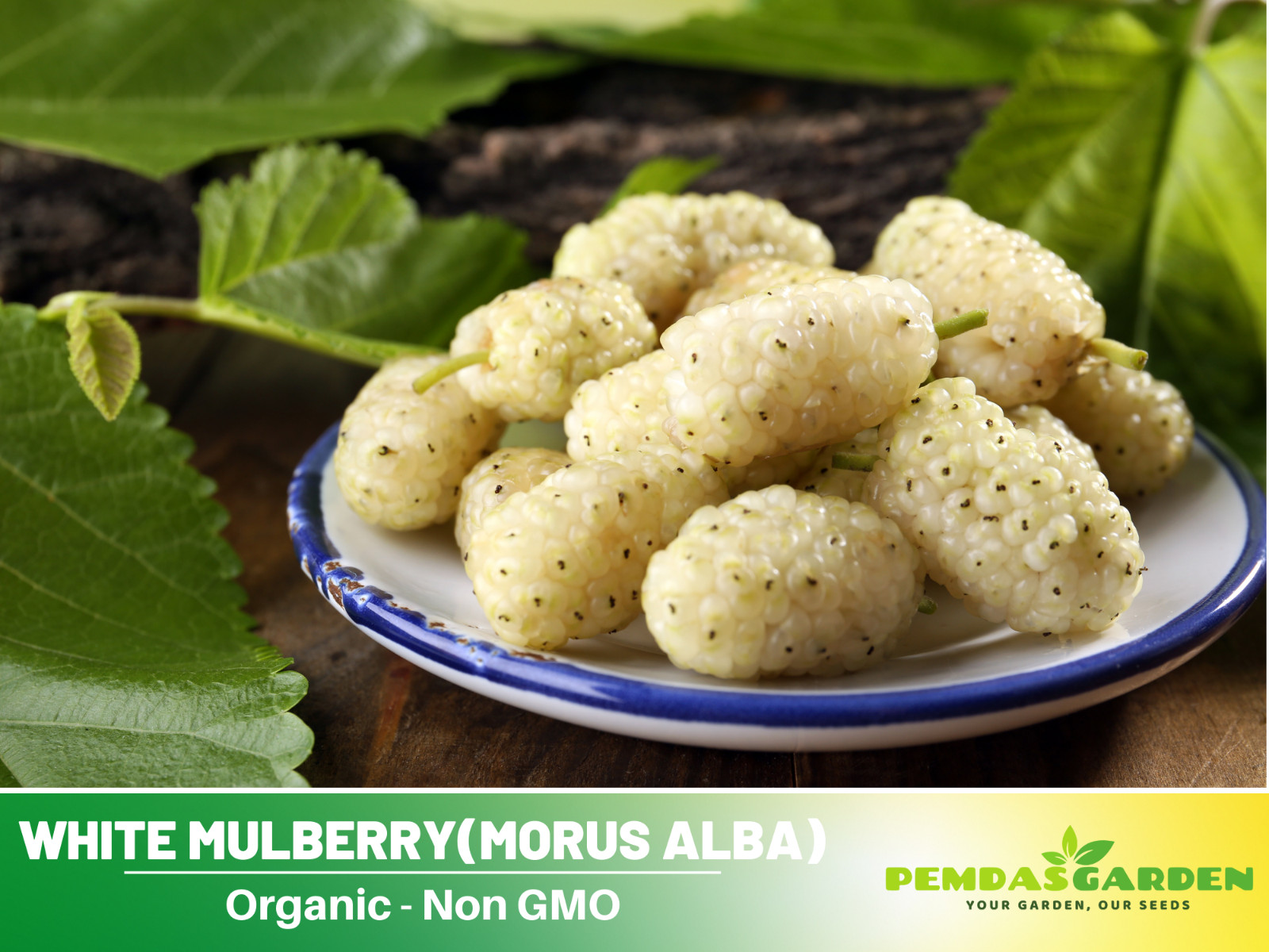 55 Seeds| White Mulberry Fruit Seeds #6032