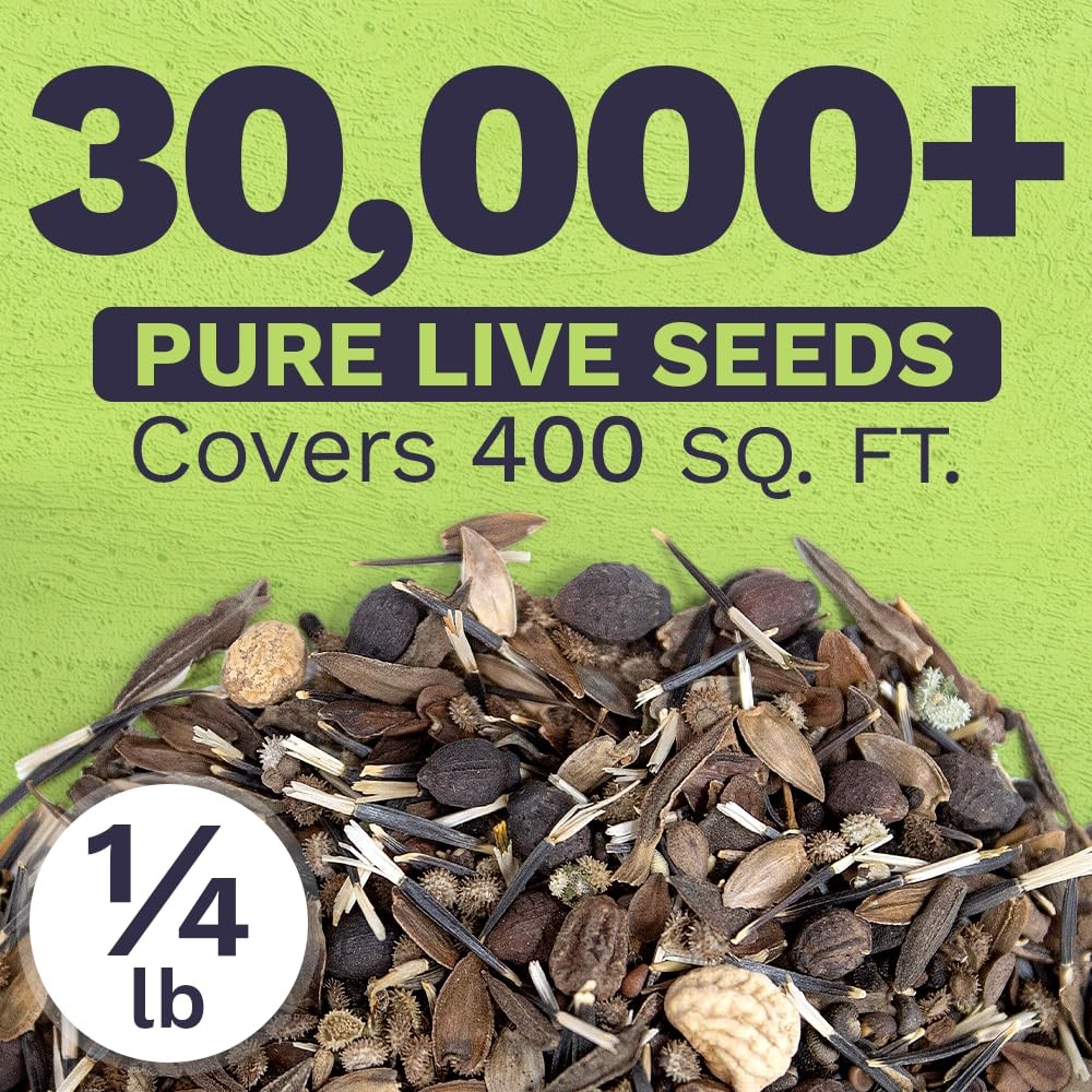 1/4 Pound Wildflower Seeds Butterfly Hummingbird Mix Over 30000 Open Pollinated