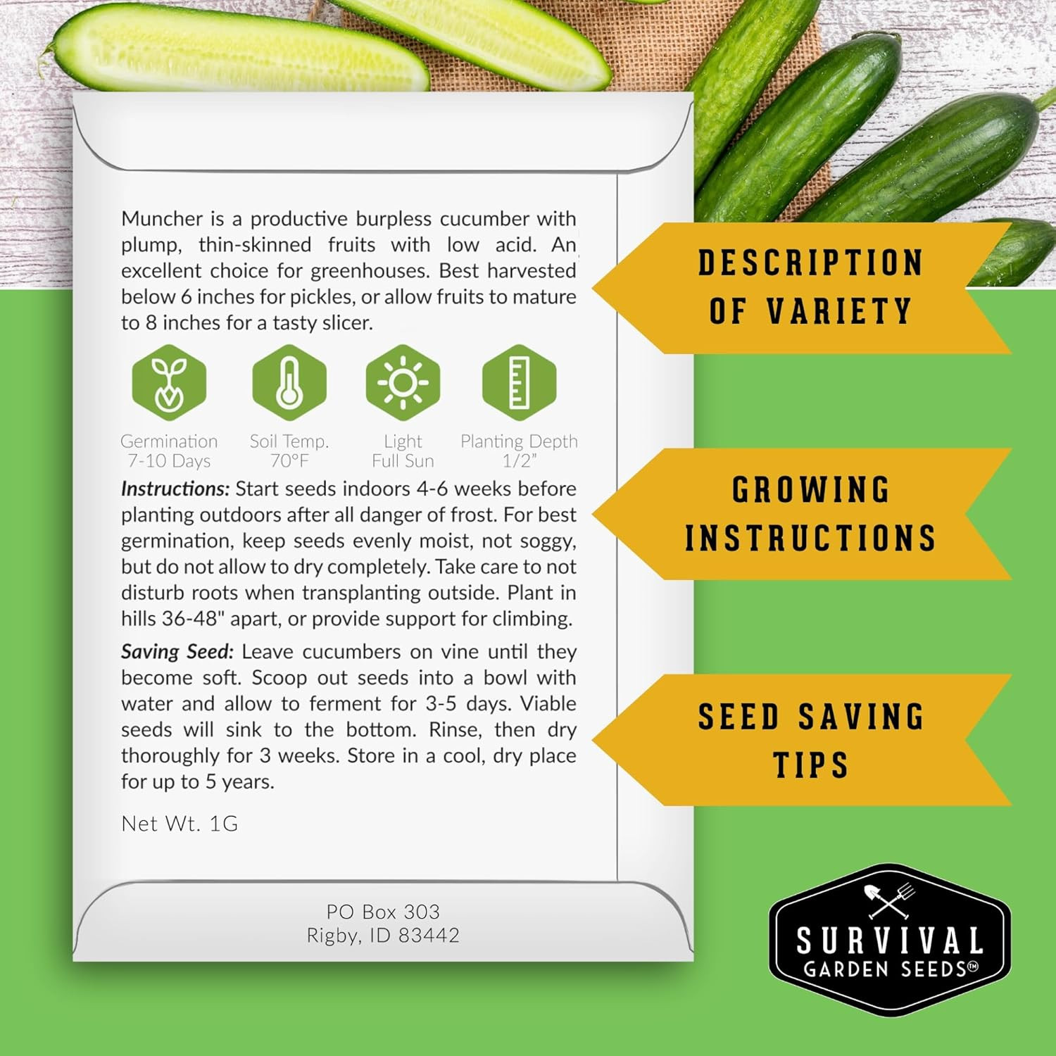 Muncher Cucumber Seeds for Planting | Burpless Variety with Smooth Skin for Snac