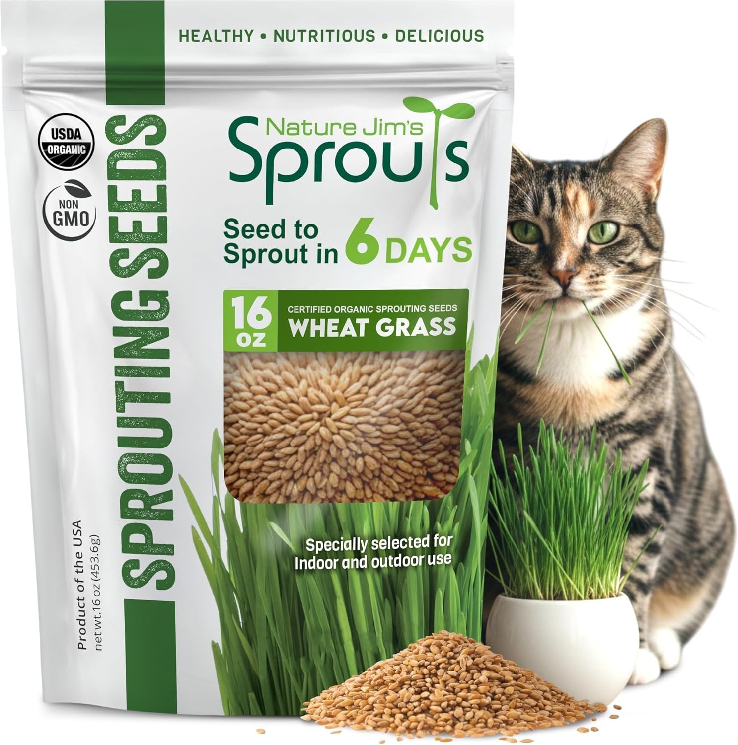 Wheat Grass Seeds – Non-GMO Organic Seeds for Planting, Cat Grass Kit Planter…