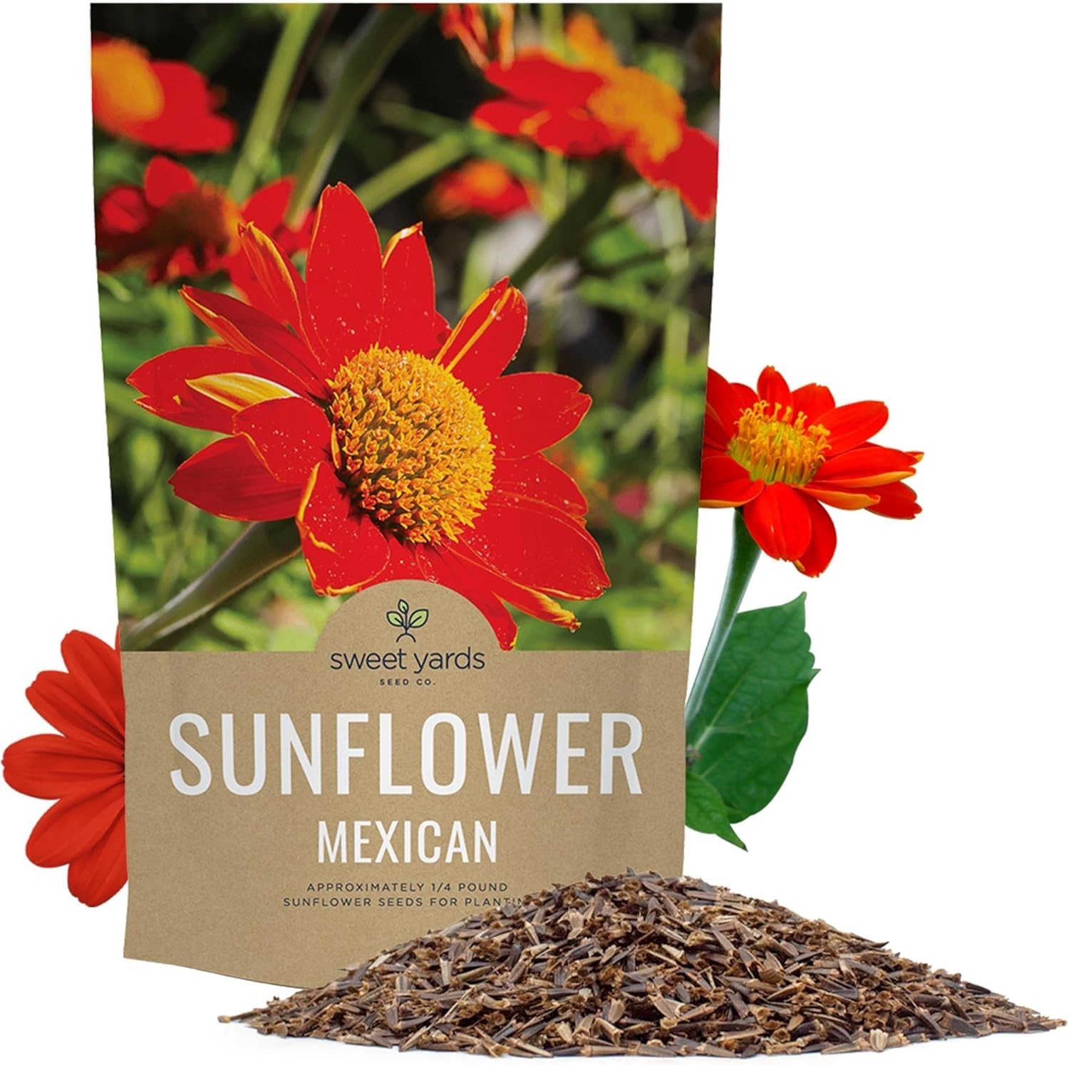 Bulk Mexican Sunflower Seeds 10,000+ Open Pollinated Non-GMO Tithonia rotundi…