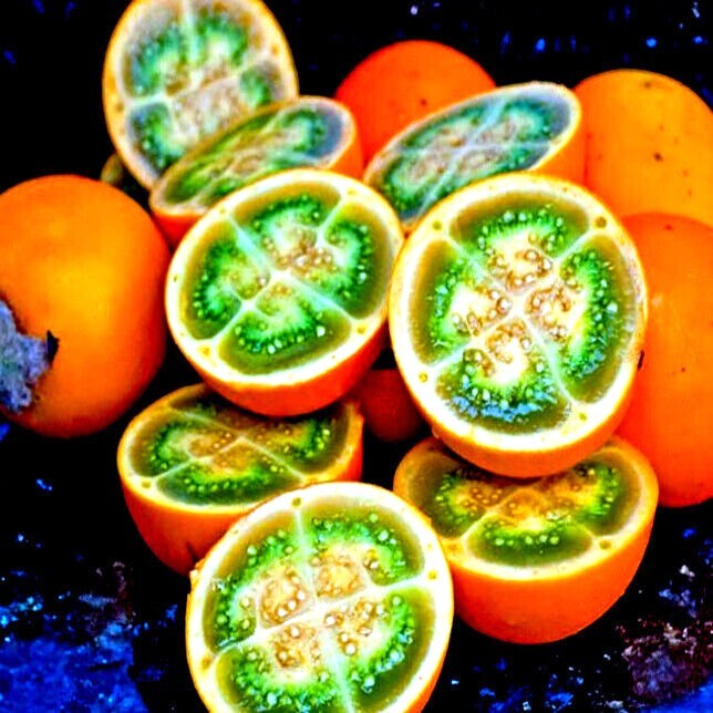 Naranjilla Orange Tree Seeds (Solanum quitoense) “Lulo Quito” Garden Fruit Plant