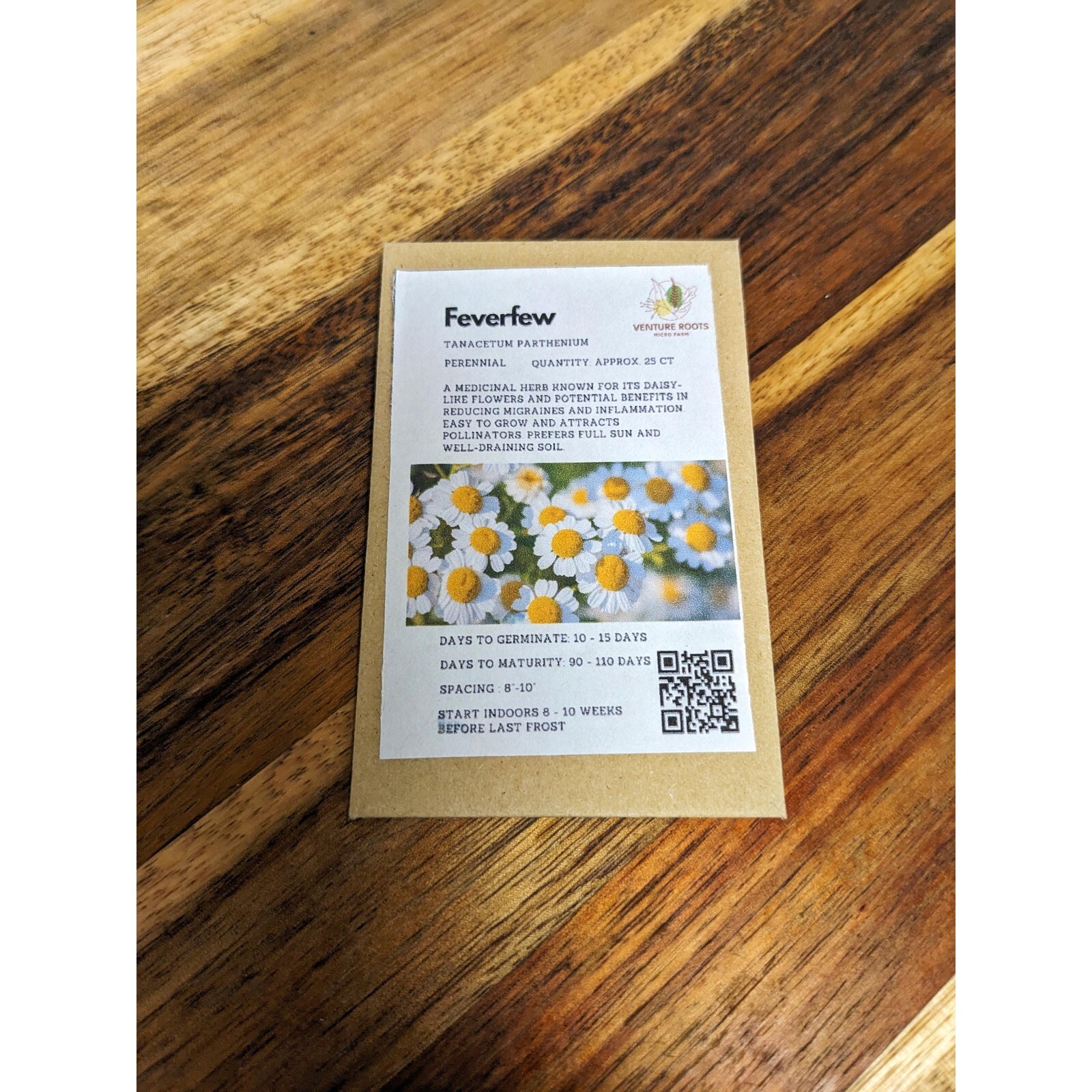 Feverfew seeds (Tanacetum parthenium) – Seeds, Non-GMO, Open-Pollinated