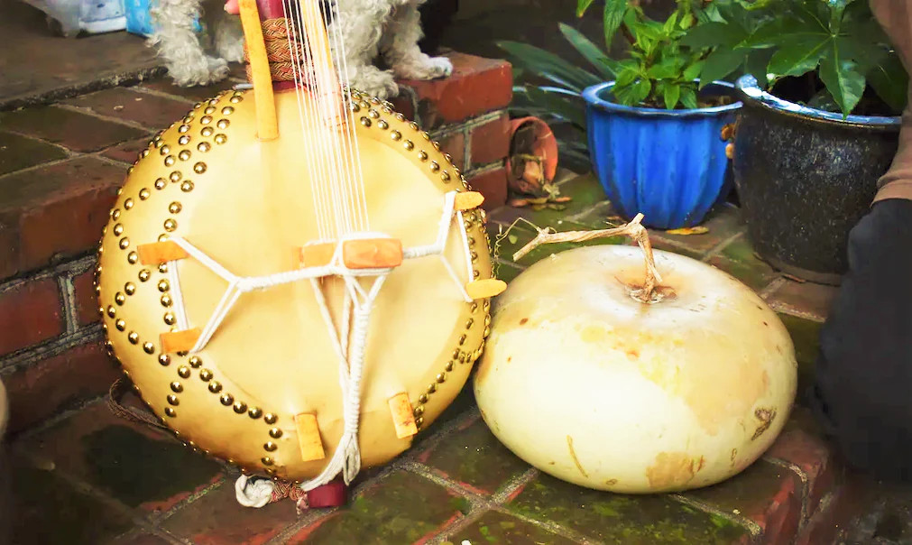 Corsican Gourd Seeds | Hard-Shelled African Bowl Bottle Art Gourds Seed 2024