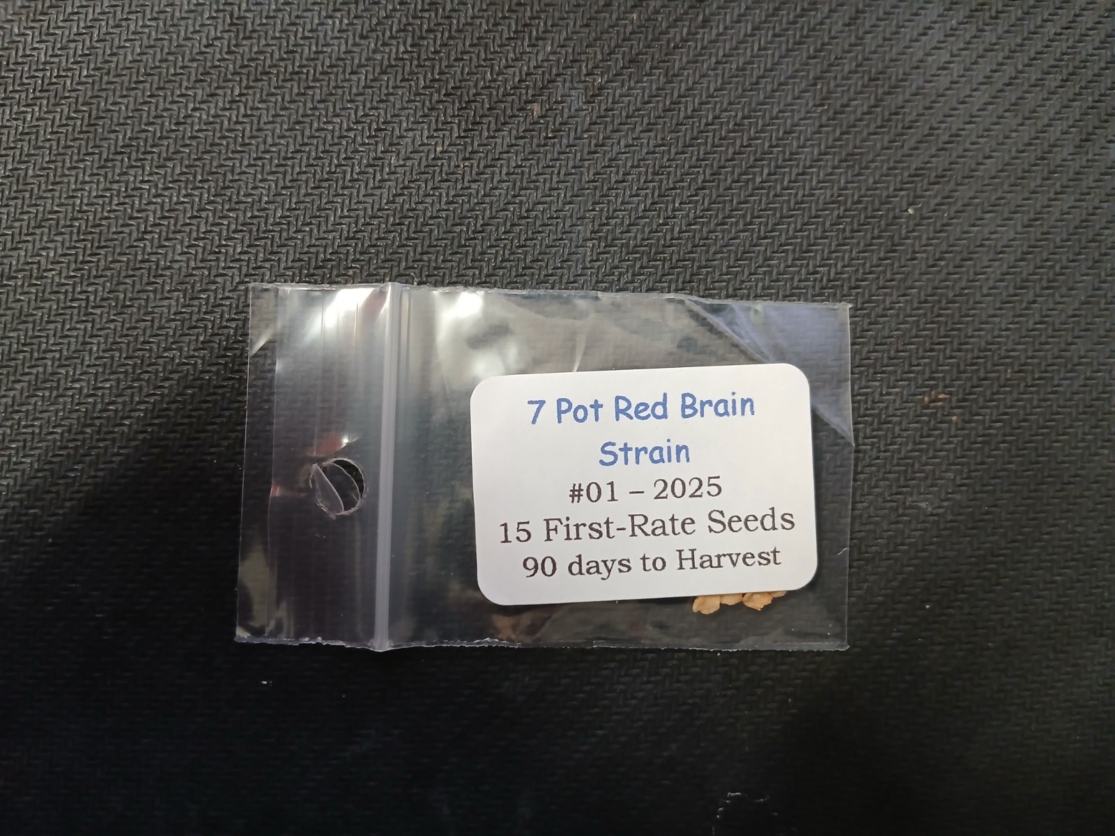 20 Super-Hot 7 Pot Brain Strain Red | NON-GMO | Pepper Seeds-B 02