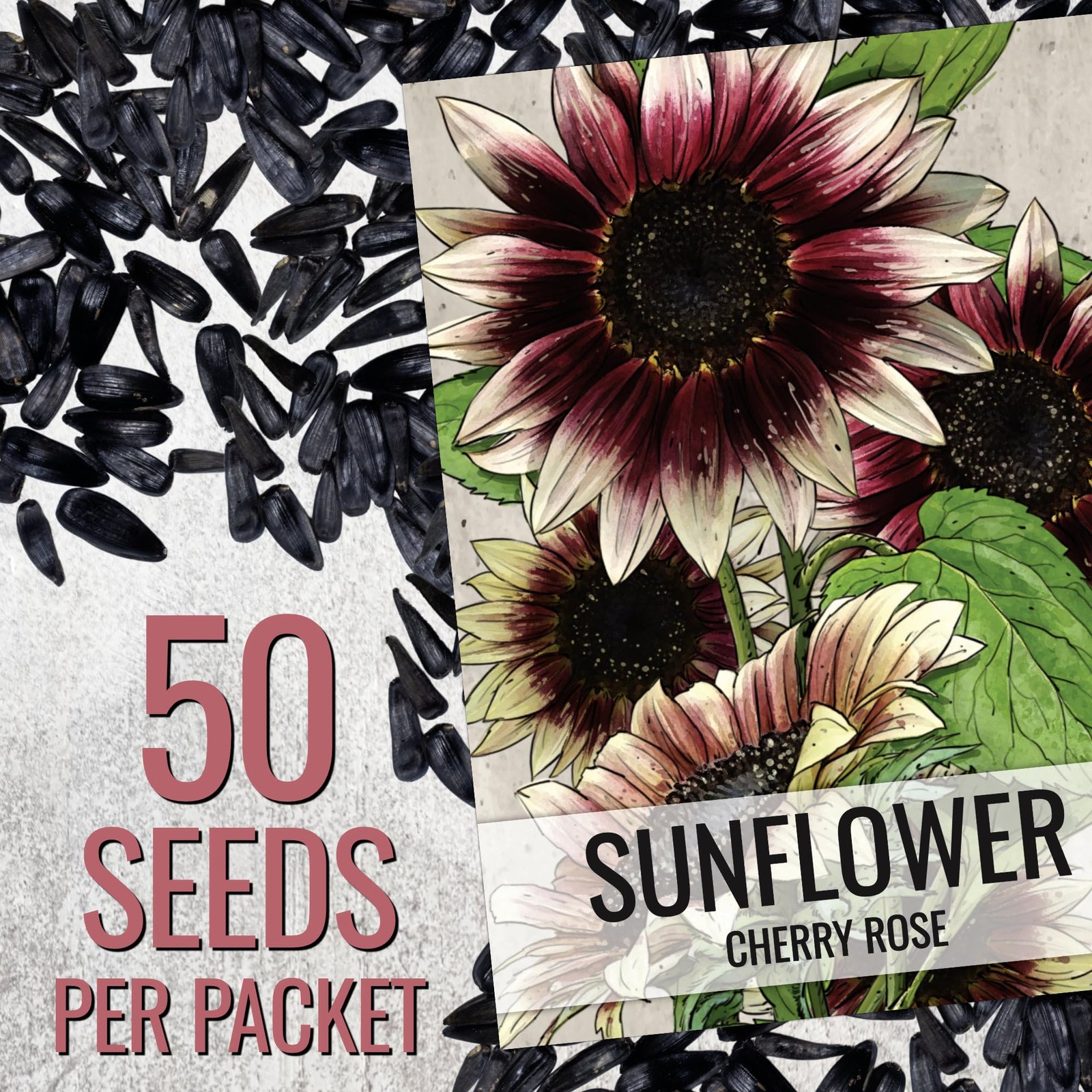 Cherry Rose Sunflower Seeds for Planting Bi-Color Sunflowers – Hybrid Flowers…