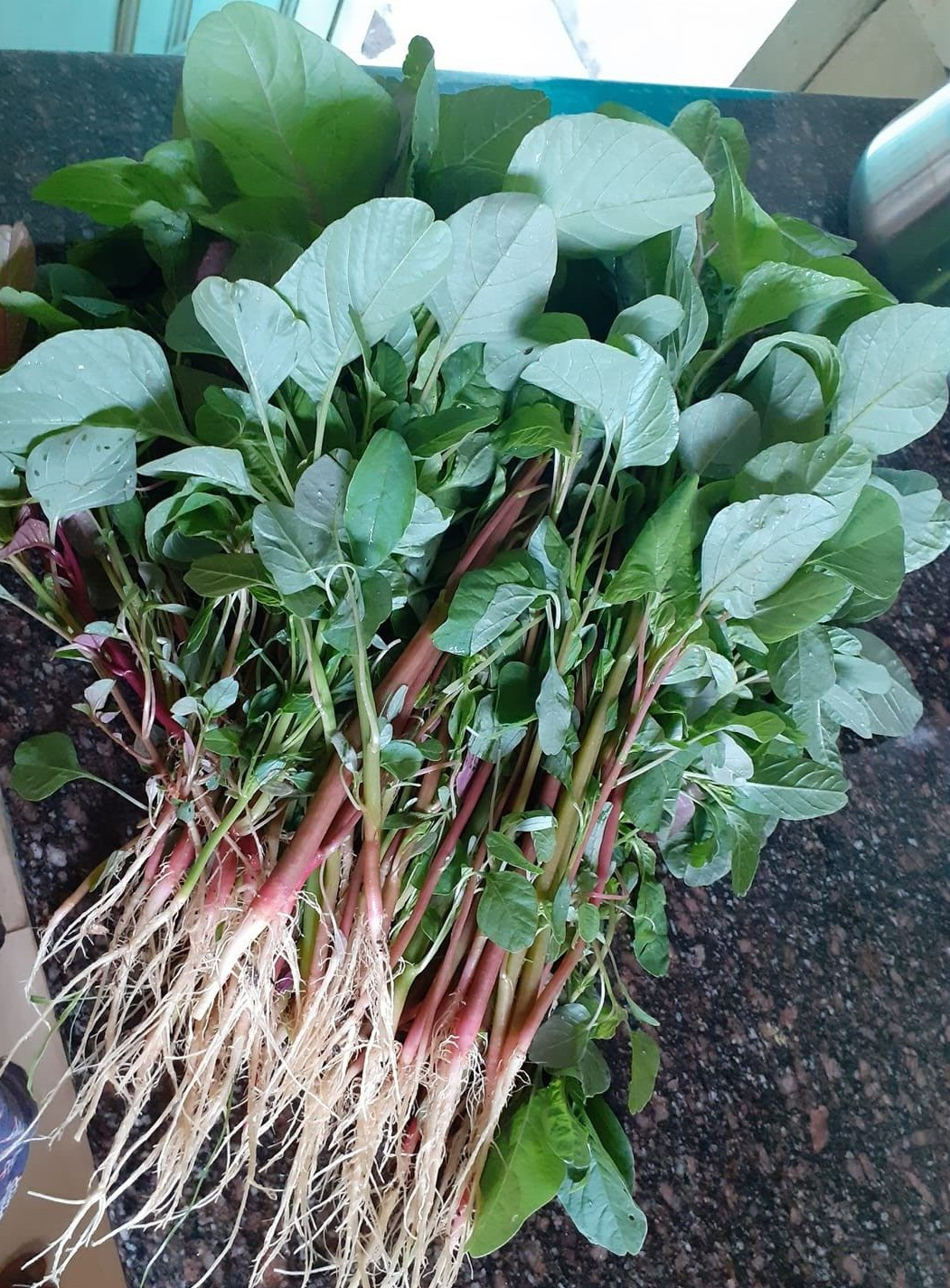 Araikeerai Arai keerai Amaranthus dubious spleen Amaranth 500mg seeds