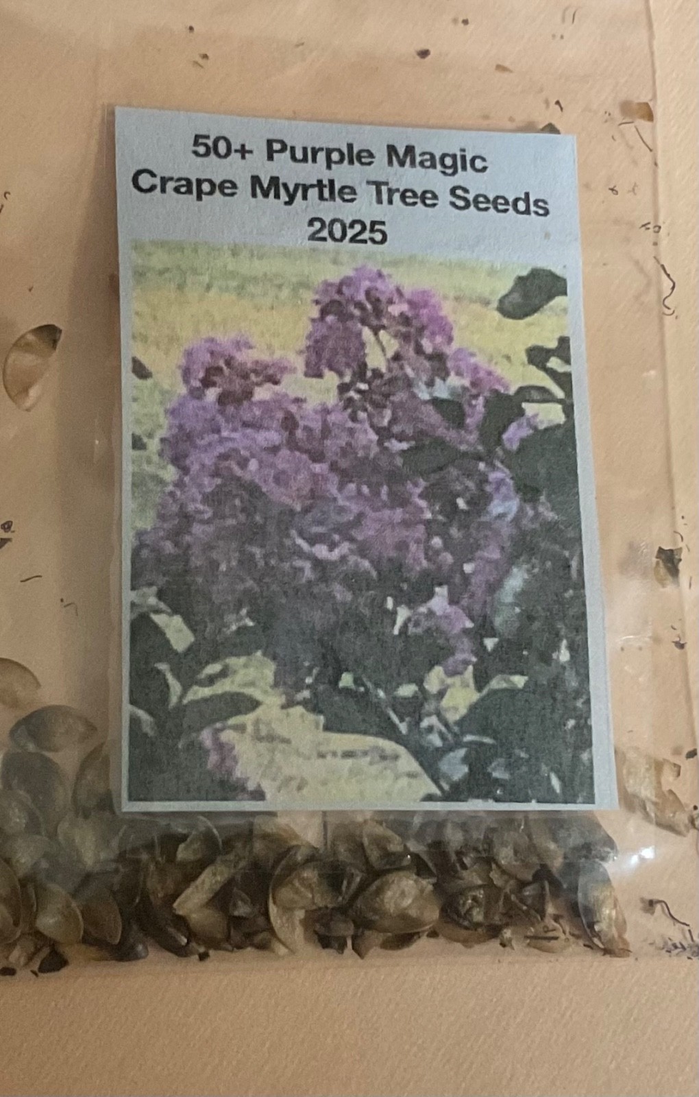 50+ Purple Magic Crape/Crepe Myrtle tree seeds Lagerstroemia Indica 2025 fall