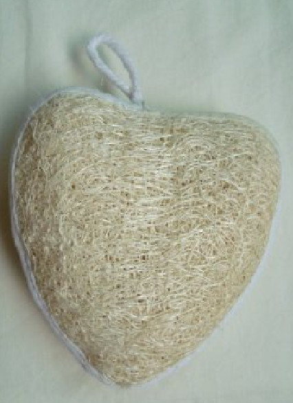 Long Vegetable Luffa Seeds High Yield (loofah sponge gourd, Luffa cylindrica)