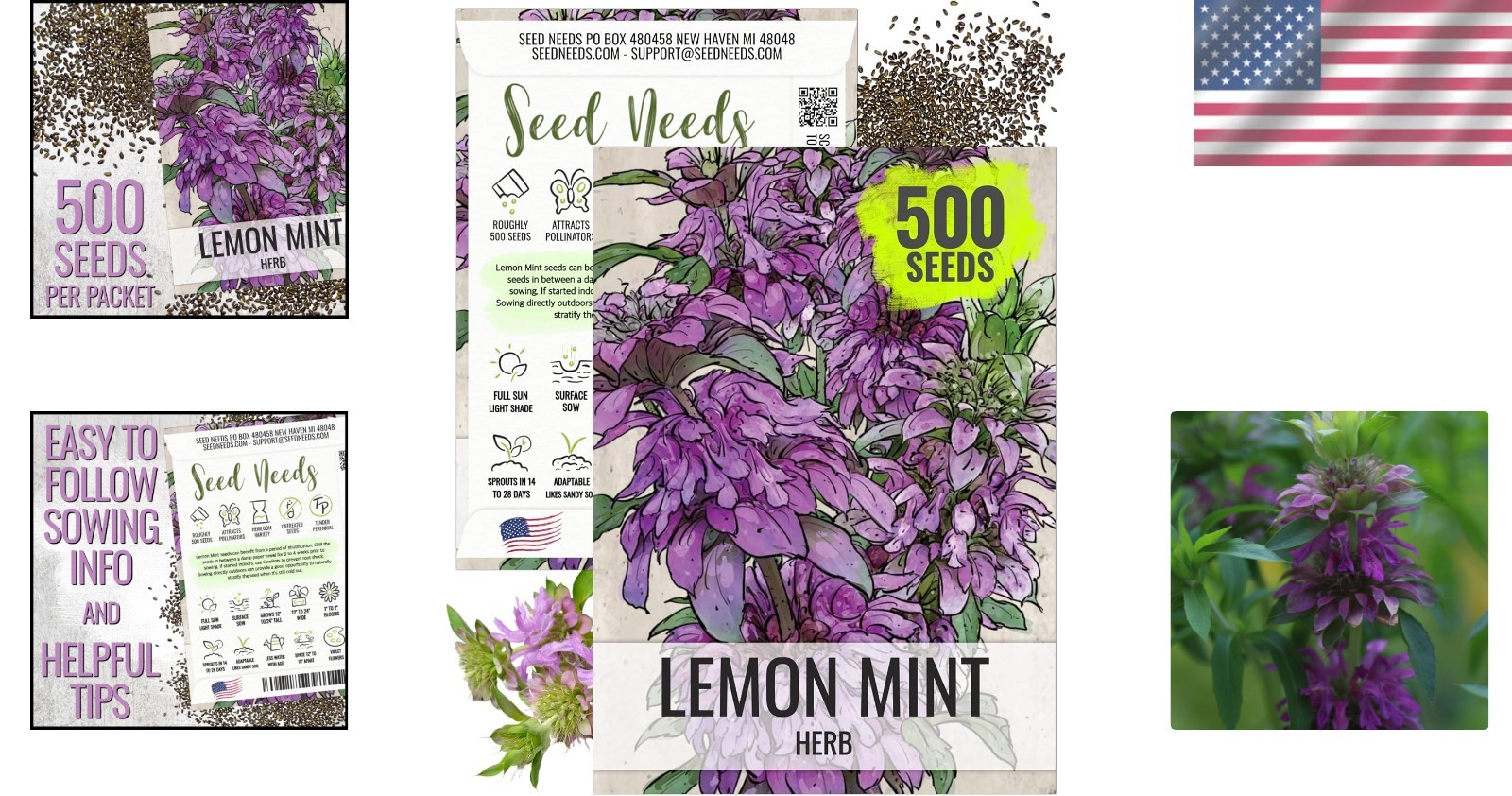 Lemon Mint Heirloom Seeds – Non-GMO, Medicinal & Culinary Herb ,500 Count