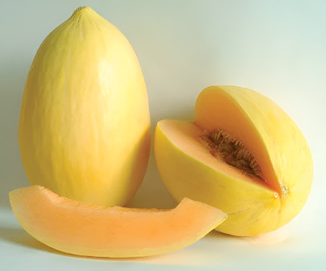 40 Heirloom Crenshaw Melon Seeds – Tropical Notes Honey Sweet Melon! NonGMO