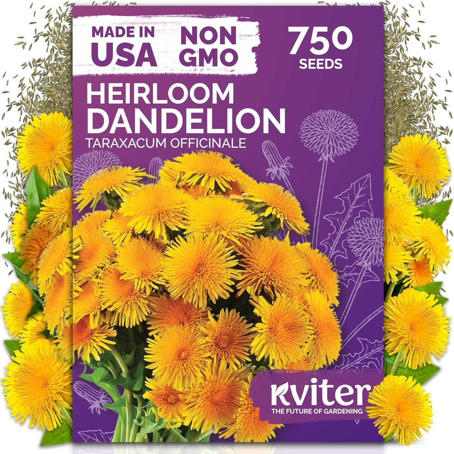 750 High Germination Dandelion Seeds – Sustainable Edible Herb for All Seasons